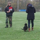 puppycursus1