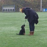 puppycursus2